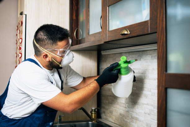 Pest Prevention Services in Grand Saline, TX